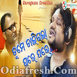 Tume Chaligala Pare Pare (Humane Sagar)